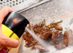 Thuốc diệt côn trùng kéo dài sẽ gây ngộ độc