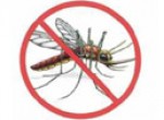 Sử dụng công nghệ Wi-Fi để diệt muỗi