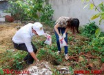 Công ty diệt chuột tại Lai Châu diệt chuột hiệu quả cho các gia đình