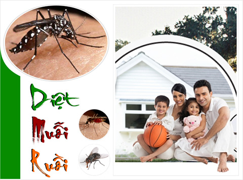 Dịch vụ diệt muỗi, diệt ruồi