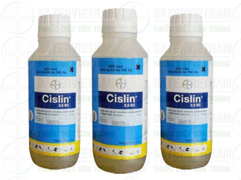 Cách diệt mối mọt gỗ bằng thuốc diệt mối mọt Cislin 2,5 EC